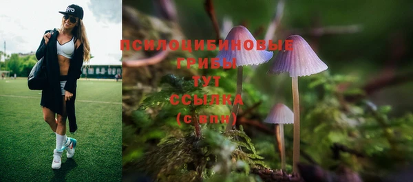 бошки Белоозёрский