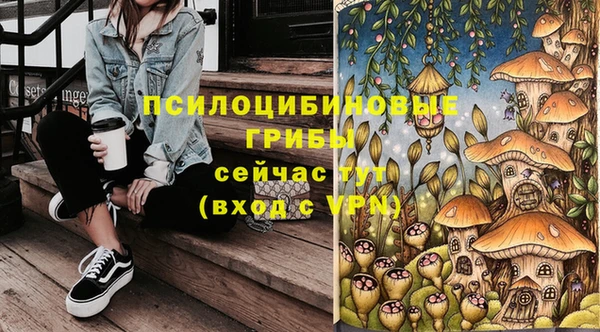трава Белокуриха