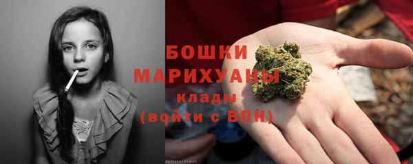 трава Белокуриха