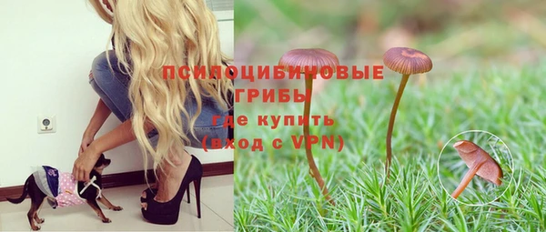 бошки Белоозёрский