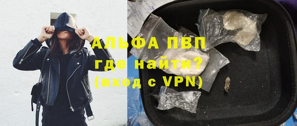 трава Белокуриха