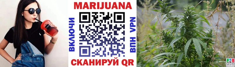 Марихуана OG Kush  Купить где  Шали 